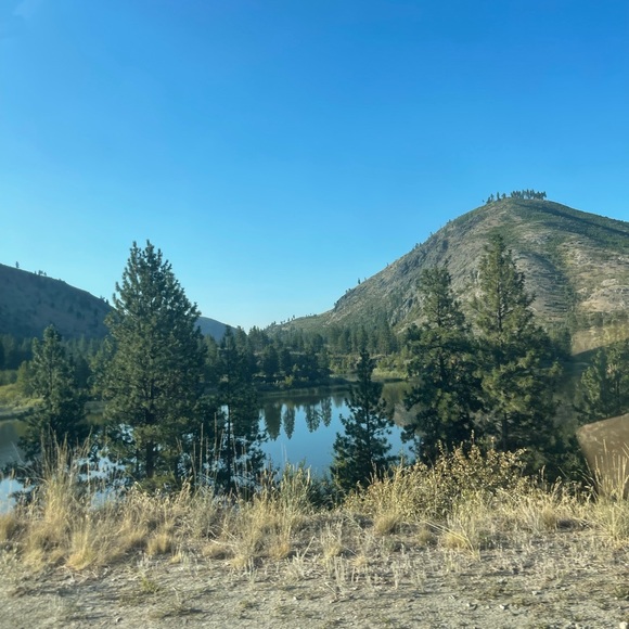 Meet your Posher, Alex - Picture 1 of 1